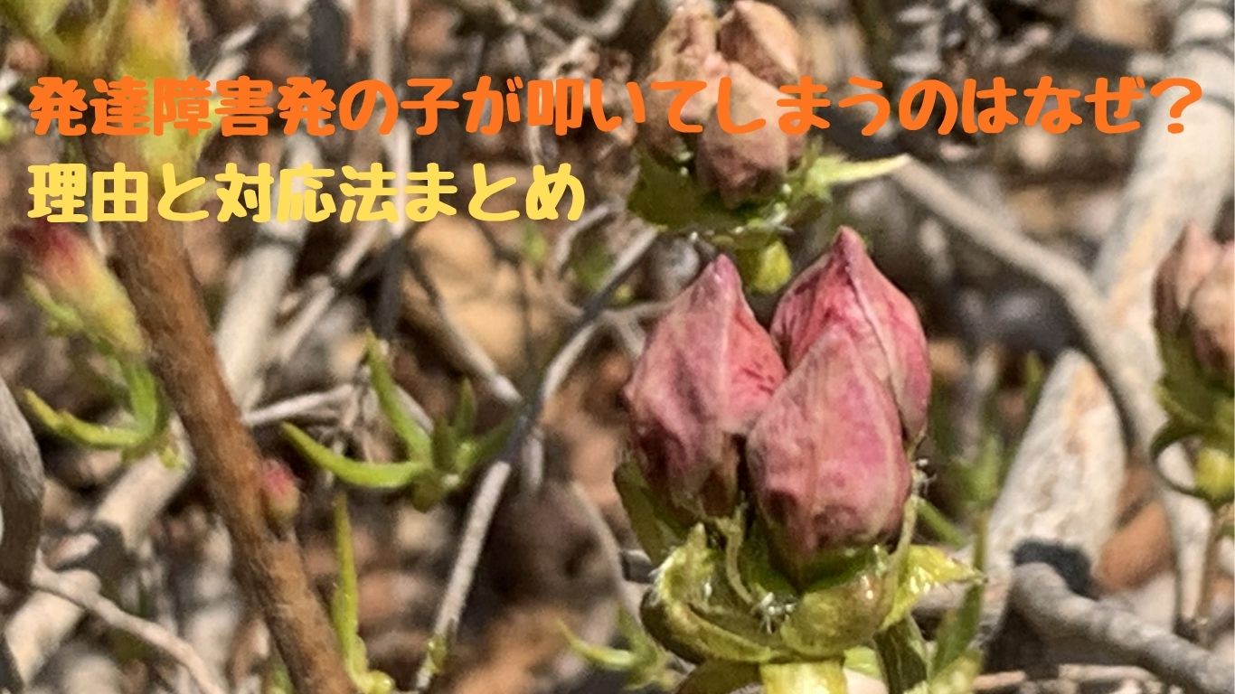 発達障害の子が叩いてしまうのはなぜ？理由と対応法まとめ