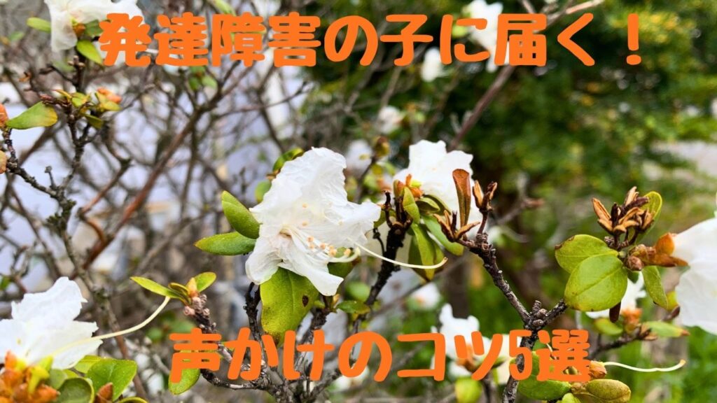 発達障害の子に届く！声かけのコツ5選