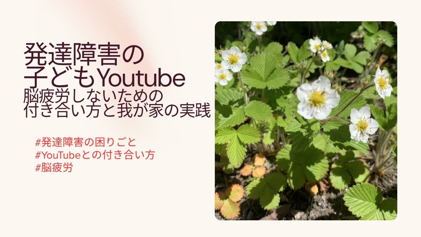 発達障害の子どもとYoutube｜脳疲労しないための付き合い方と我が家の実践