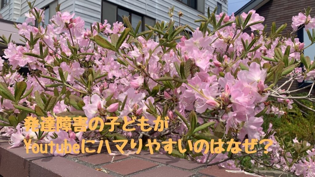 発達障害の子どもがYoutubeにハマりやすいのはなぜ？