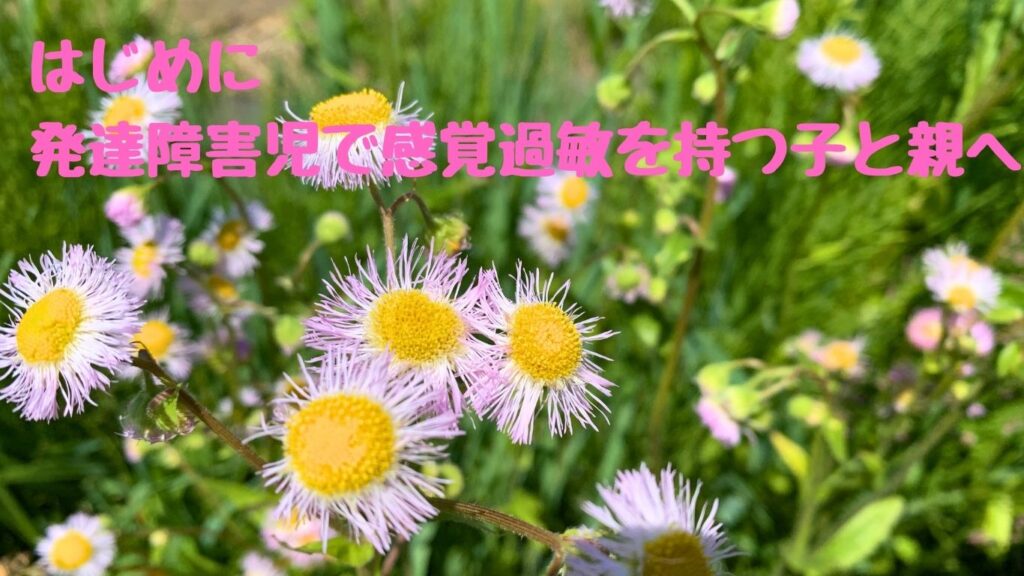 はじめに｜発達障害児で感覚過敏を持つ子と親へ
