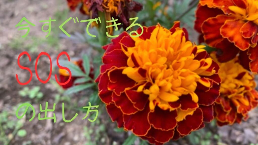 今すぐできるSOSの出し方