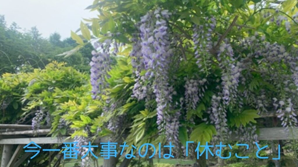 今一番大事なのは「休むこと」