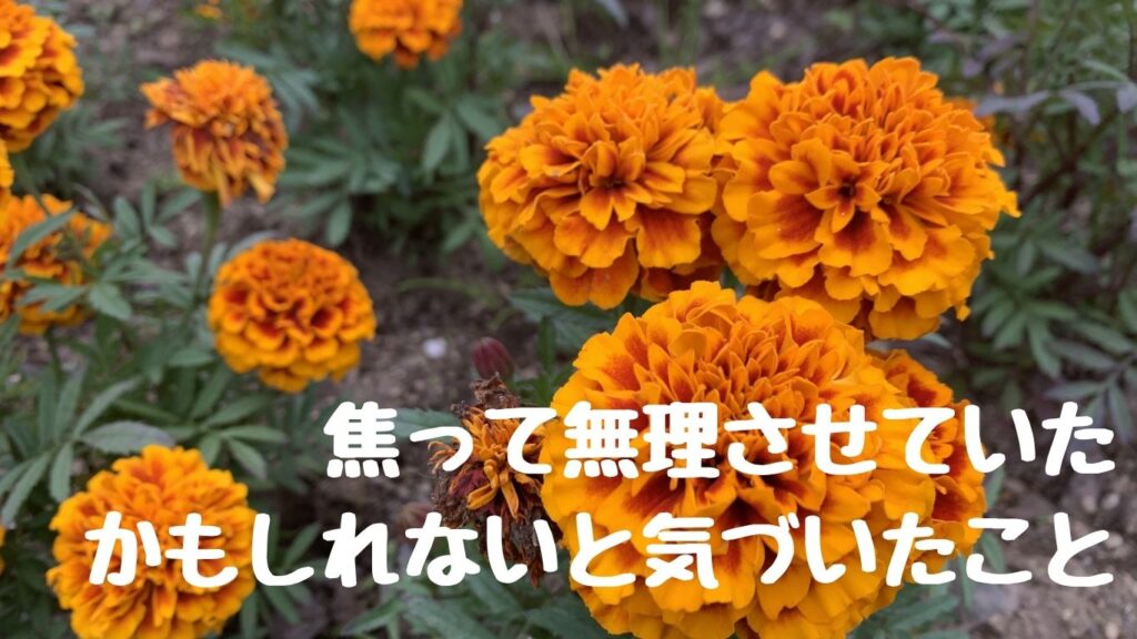 焦って無理させていたかもしれないと気づいたこと
