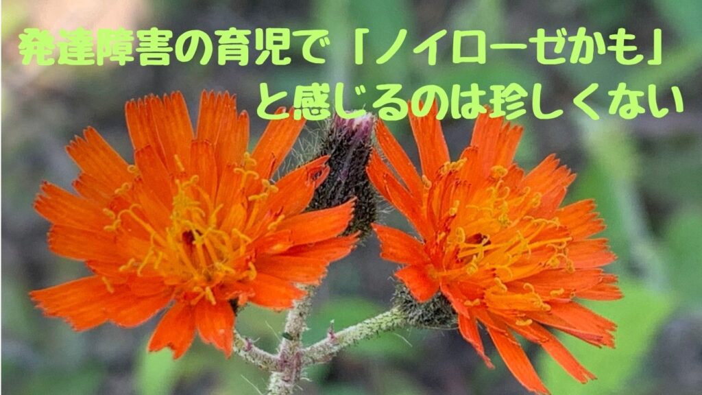 発達障害の育児で「ノイローゼかも」と感じるのは珍しくない