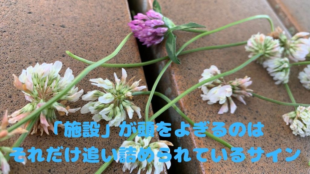 「施設」が頭をよぎるのは、それだけ追い詰められているサイン