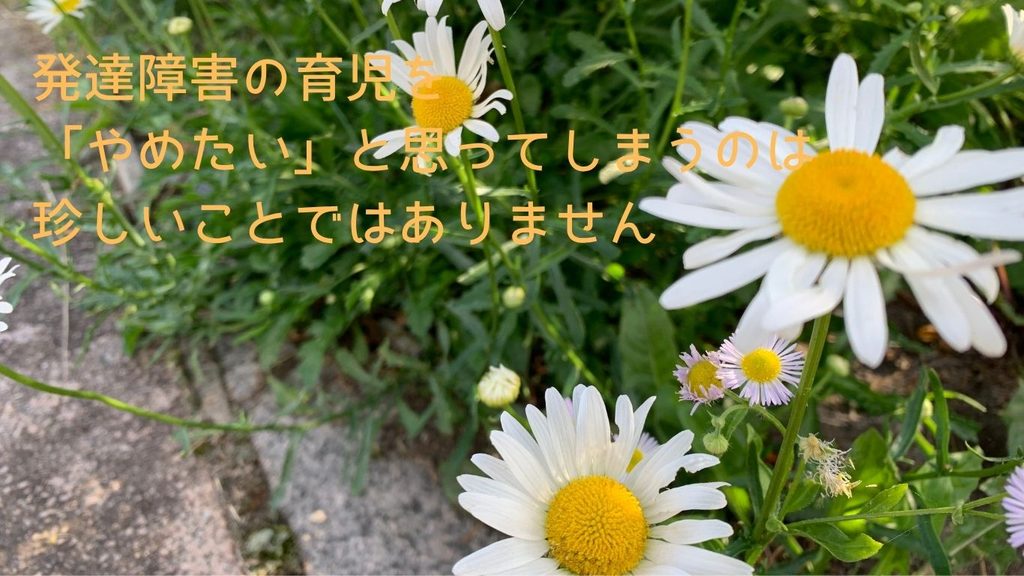発達障害の育児を「やめたい」と思ってしまうのは珍しいことではありません