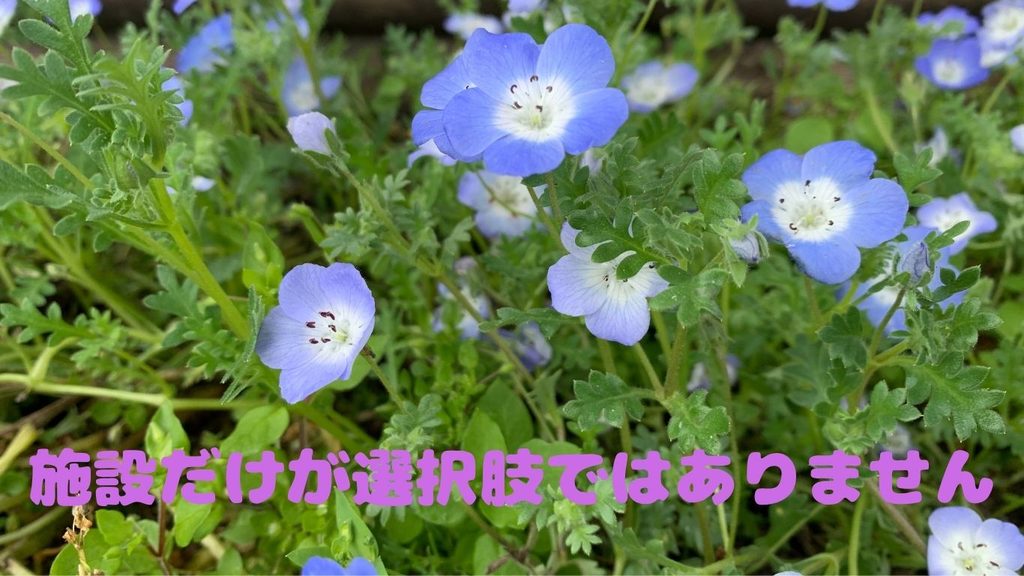 施設だけが選択肢ではありません