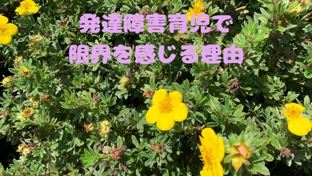 発達障害育児で限界を感じる理由