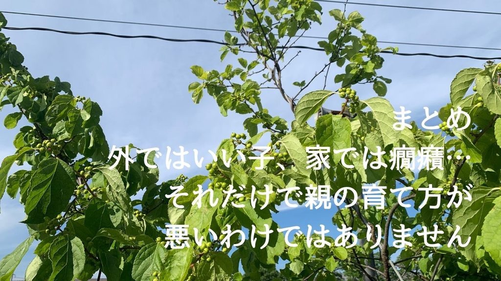まとめ|外ではいい子、家では癇癪…それだけで親の育て方が悪いわけではありません
