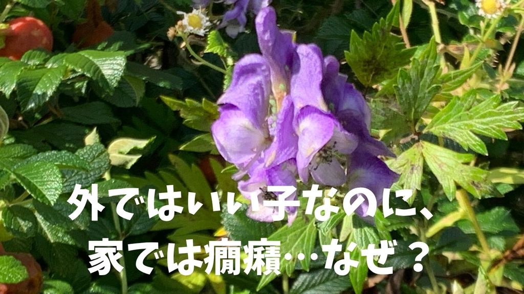 外ではいい子なのに、家では癇癪…なぜ？