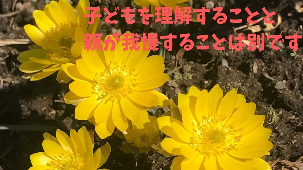 子どもを理解することと、親が我慢することは別です