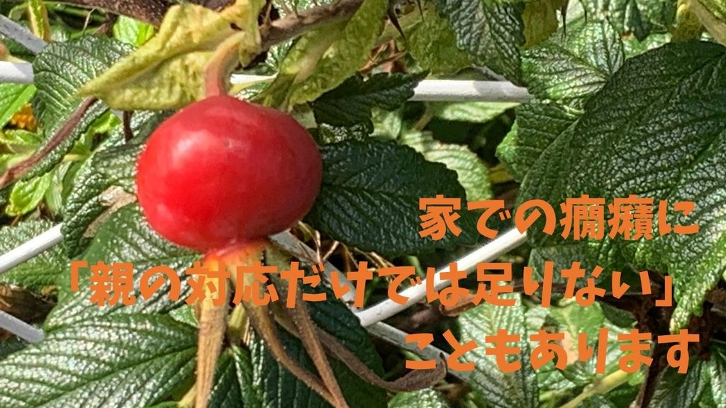 家での癇癪に「親の対応だけでは足りない」こともあります