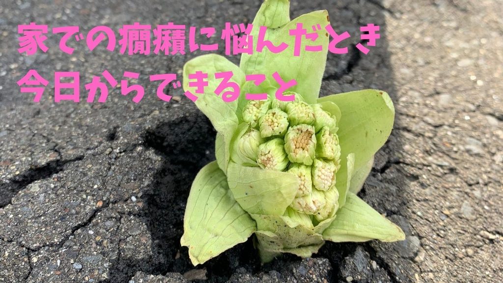 家での癇癪に悩んだとき、今日からできること