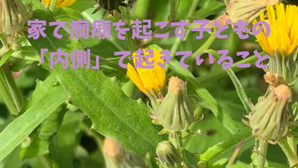 家で癇癪を起こす子どもの「内側」で起きていること