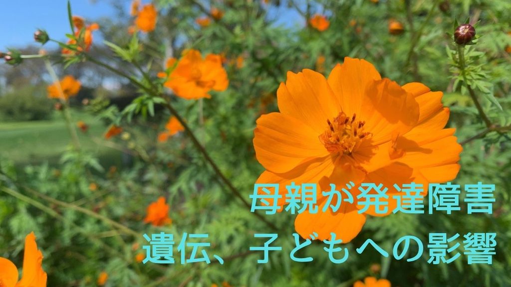 母親が発達障害|遺伝、子どもへの影響