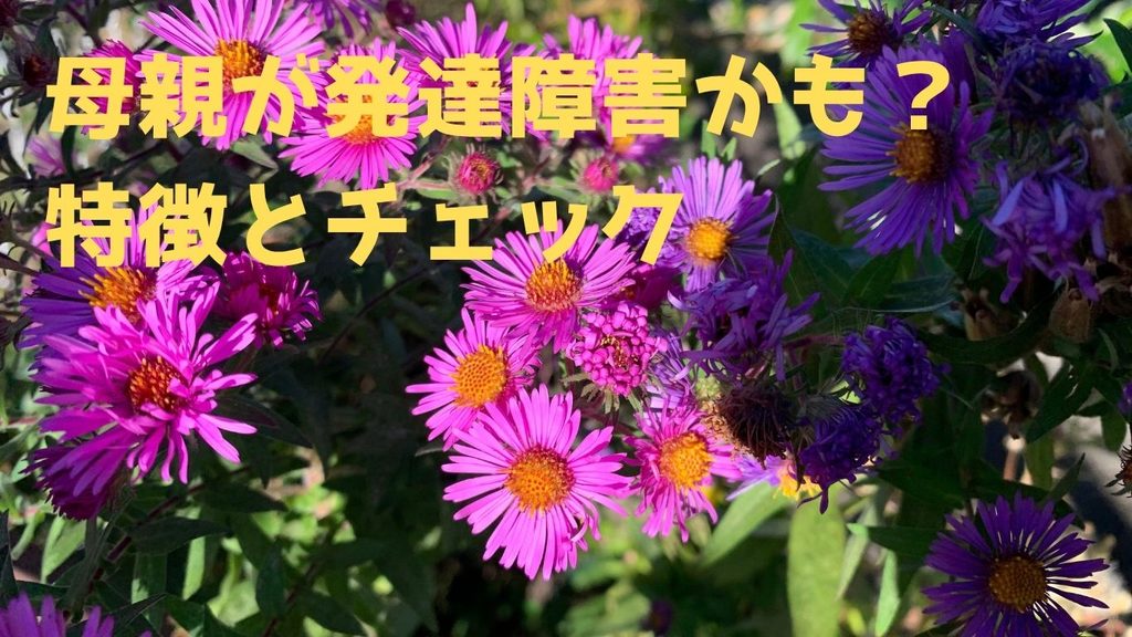 母親が発達障害かも？特徴とチェック