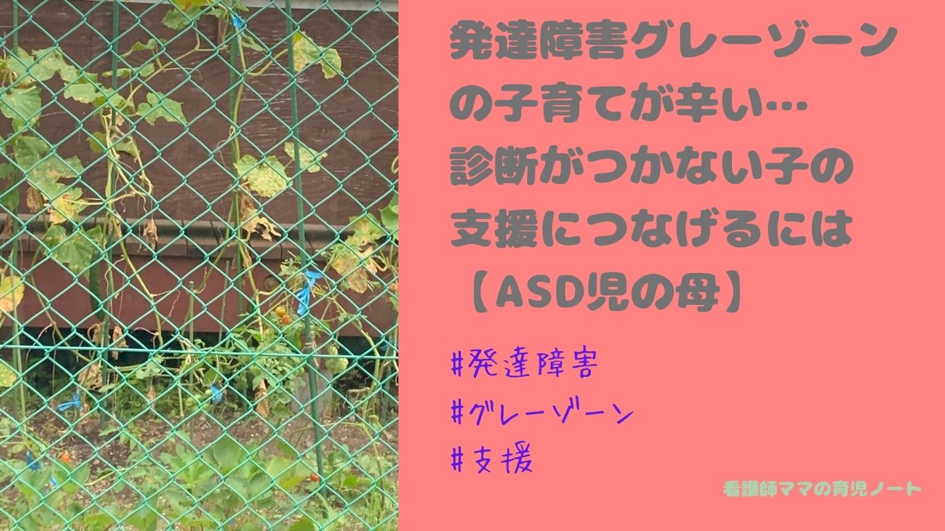 発達障害グレーゾーンの子育てが辛い…診断がつかない子の支援につなげるには【ASD児の母】