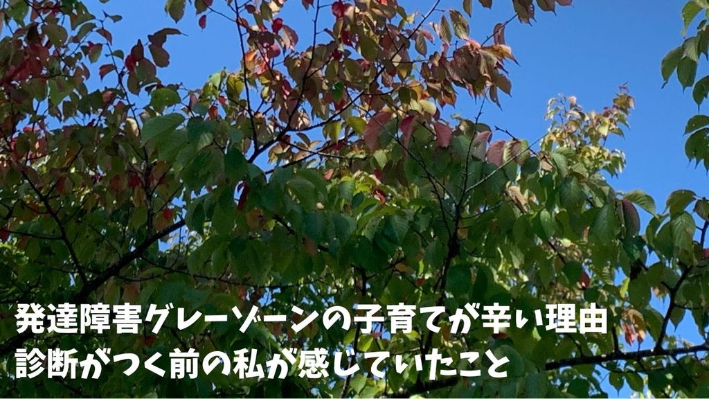 発達障害グレーゾーンの子育てが辛い理由|診断がつく前の私が感じていたこと