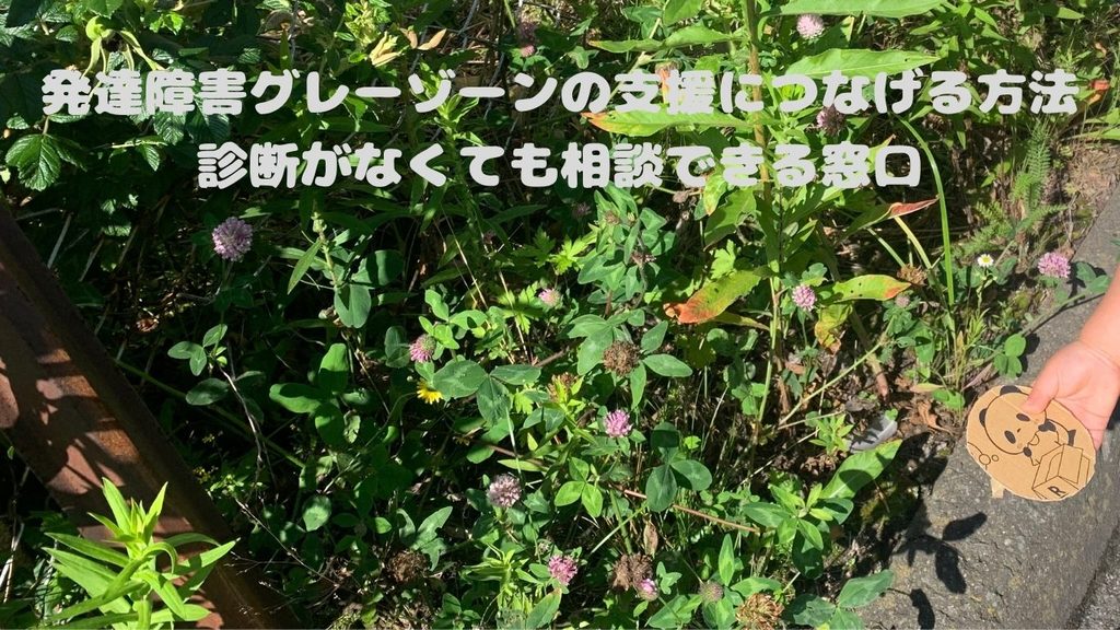 発達障害グレーゾーンの支援につなげる方法|診断がなくても相談できる窓口