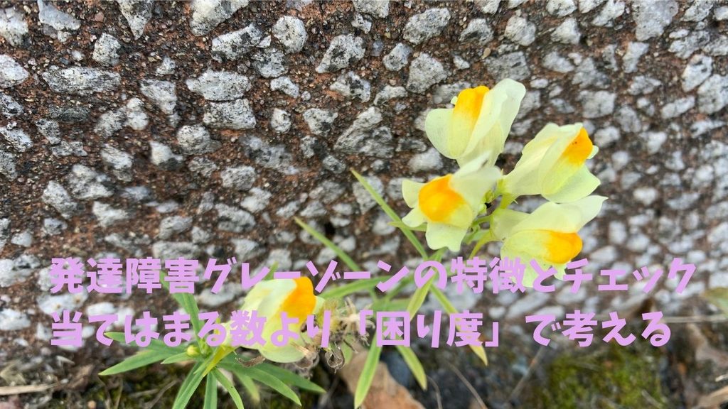 発達障害グレーゾーンの特徴とチェック|当てはまる数より「困り度」で考える